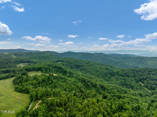 Tbd Walnut Mountain Road, Roan Mountain, TN 37687