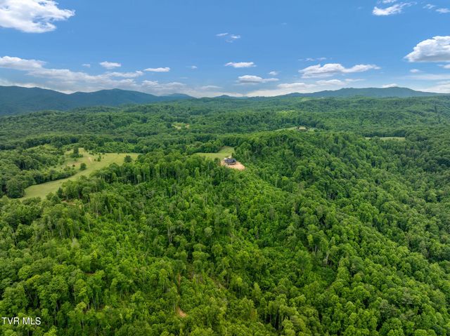 Tbd Walnut Mountain Road, Roan Mountain, TN 37687