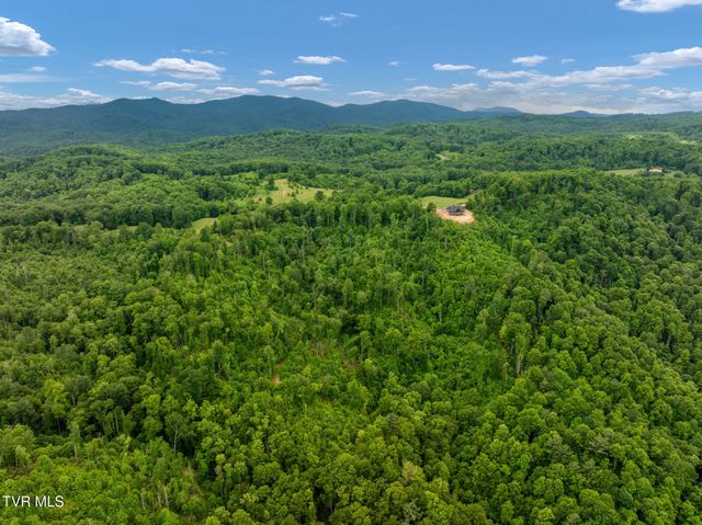 Tbd Walnut Mountain Road, Roan Mountain, TN 37687