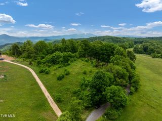 Tbd Walnut Mountain Road, Roan Mountain, TN 37687