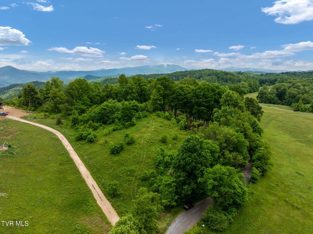 Tbd Walnut Mountain Road, Roan Mountain, TN 37687