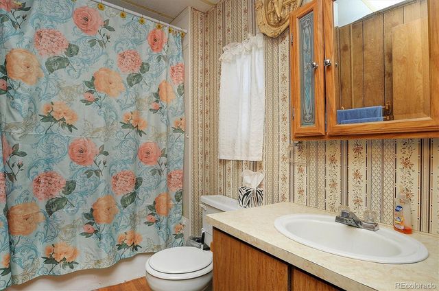 602 Vine Street, Salida, CO 81201