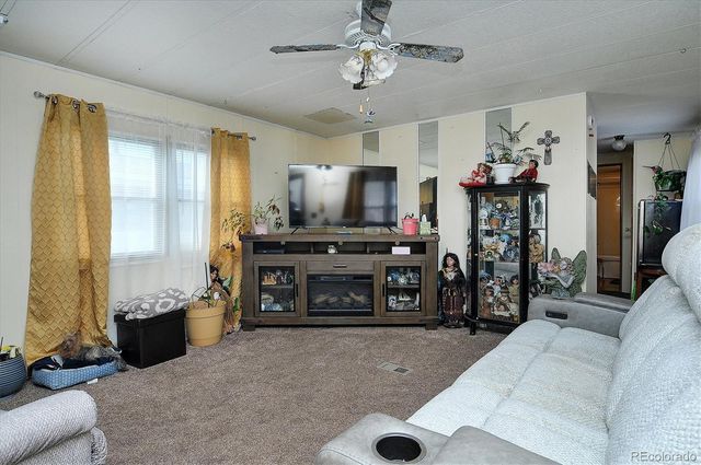 602 Vine Street, Salida, CO 81201