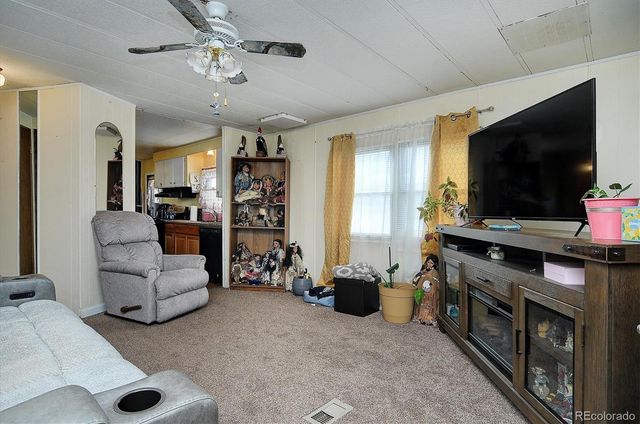 602 Vine Street, Salida, CO 81201