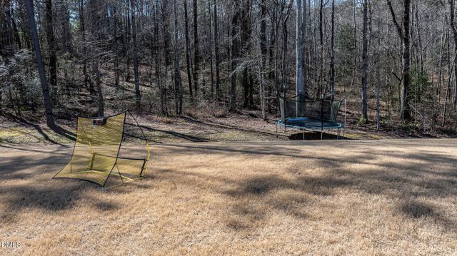 463 Badger Pass Drive, Clayton, NC 27527