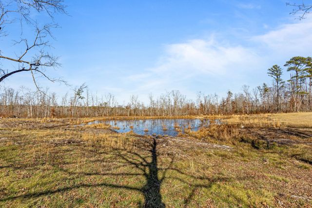 711 Lick Point Road, Sequatchie, TN 37374