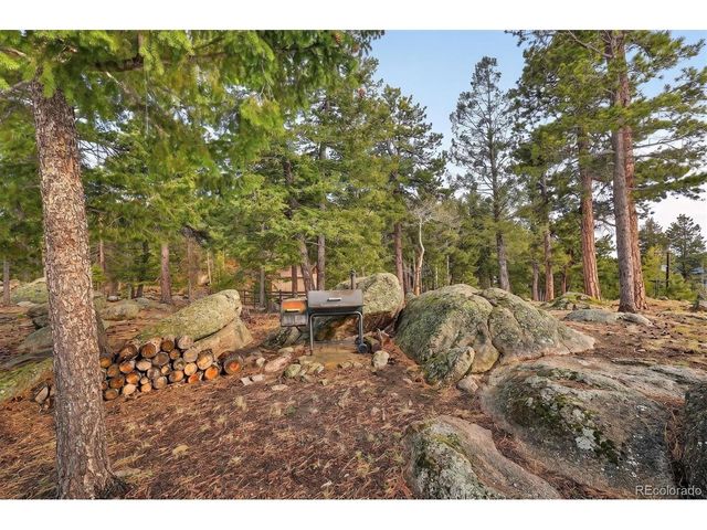 8510 Bobsled Trl, Morrison, CO 80465