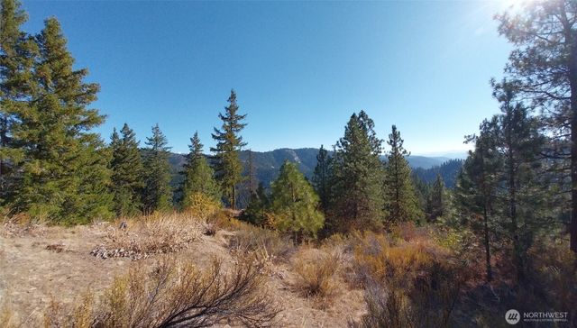11685 Sunitsch Canyon Rd, Leavenworth, WA 98826
