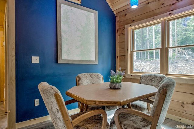 326 Bum Drive, Fairplay, CO 80440