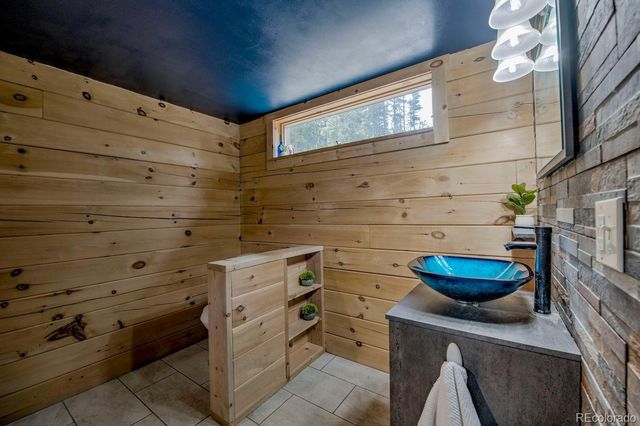 326 Bum Drive, Fairplay, CO 80440