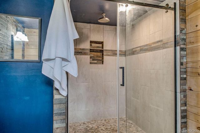 326 Bum Drive, Fairplay, CO 80440