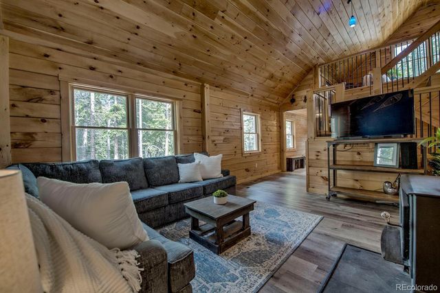326 Bum Drive, Fairplay, CO 80440