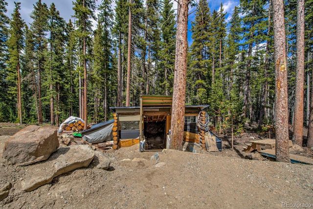 326 Bum Drive, Fairplay, CO 80440
