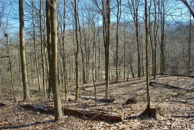 0 Audubon Road, Sewickley Heights, PA 15143