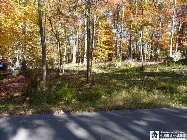 5480 Scandia Drive, Ellery, NY 14712