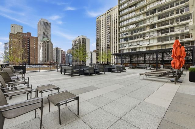 1000 N Lake Shore Plaza 24C, Chicago, IL 60611