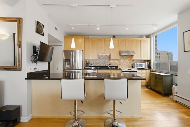 1000 N Lake Shore Plaza 24C, Chicago, IL 60611