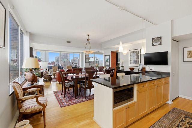 1000 N Lake Shore Plaza 24C, Chicago, IL 60611