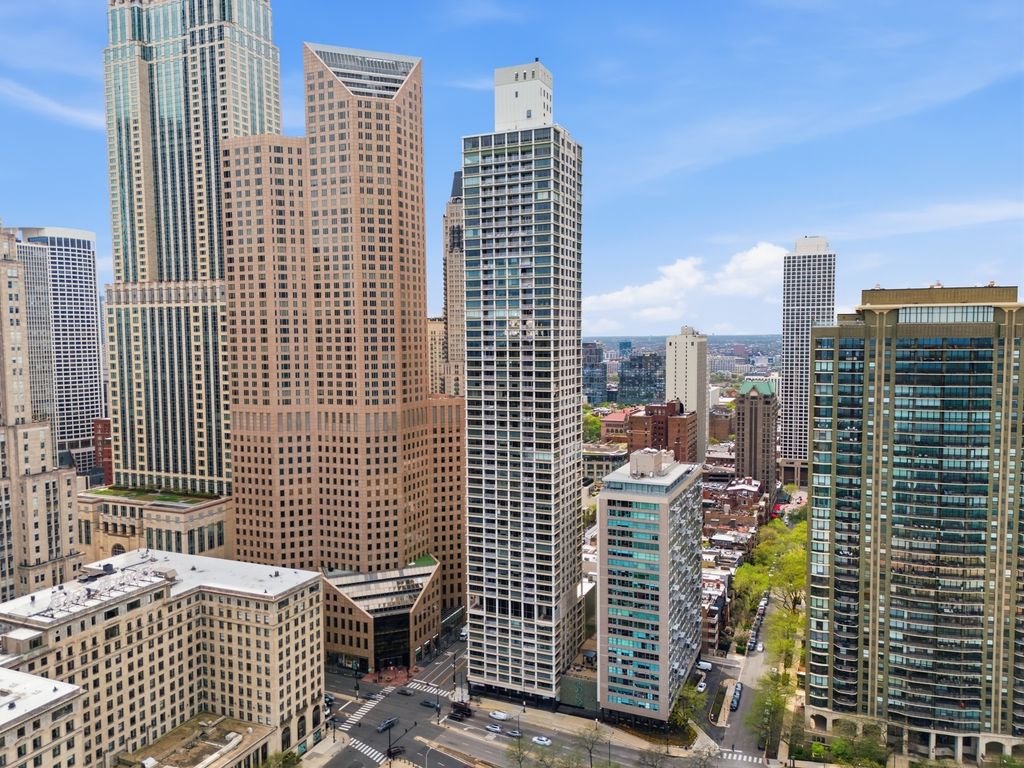 1000 N Lake Shore Plaza 24C, Chicago, IL 60611