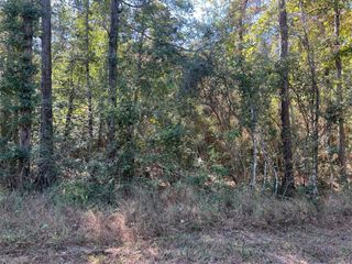 162 Meadow Lane, Livingston, TX 77351