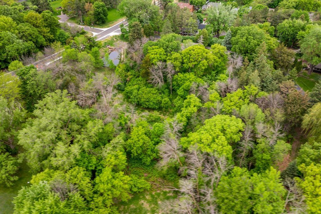 6591 Galpin Boulevard, Chanhassen, MN 55331 — photo 4