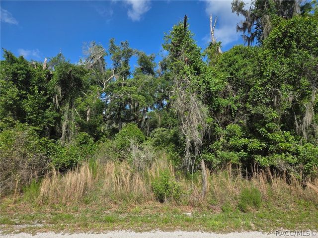 4240 S Kenvera Loop, Inverness, FL 34450