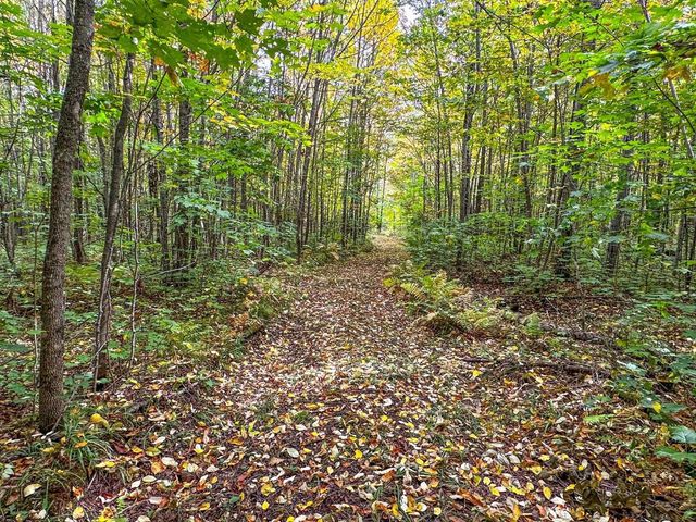 72281 HENNES ROAD, Glidden, WI 54527