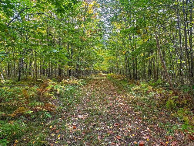 72281 HENNES ROAD, Glidden, WI 54527