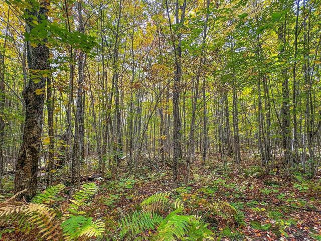 72281 HENNES ROAD, Glidden, WI 54527