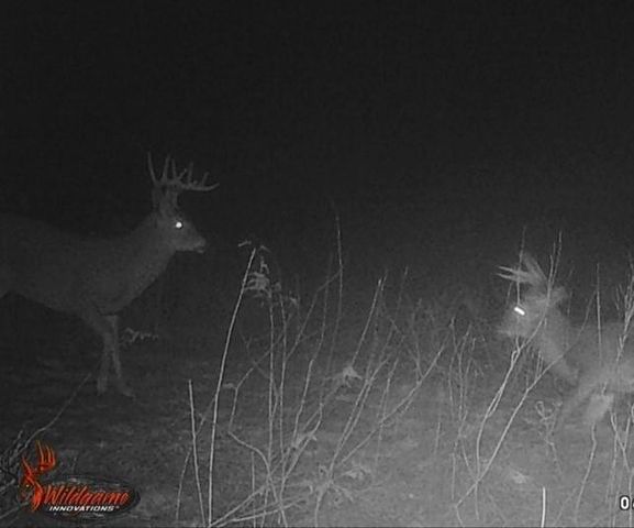 72281 HENNES ROAD, Glidden, WI 54527