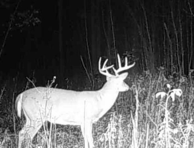 72281 HENNES ROAD, Glidden, WI 54527