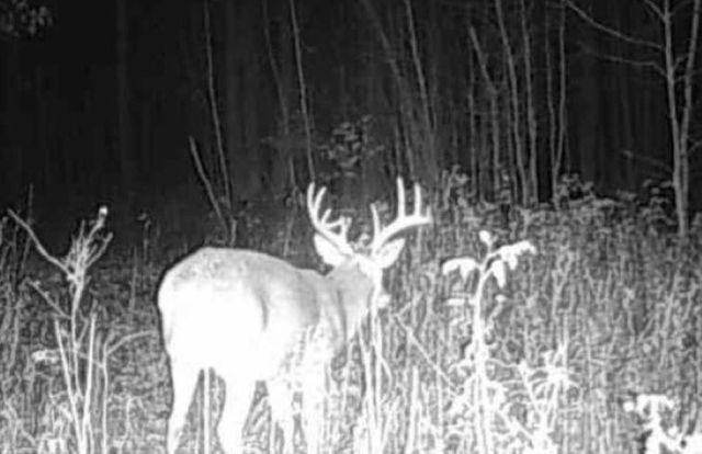 72281 HENNES ROAD, Glidden, WI 54527