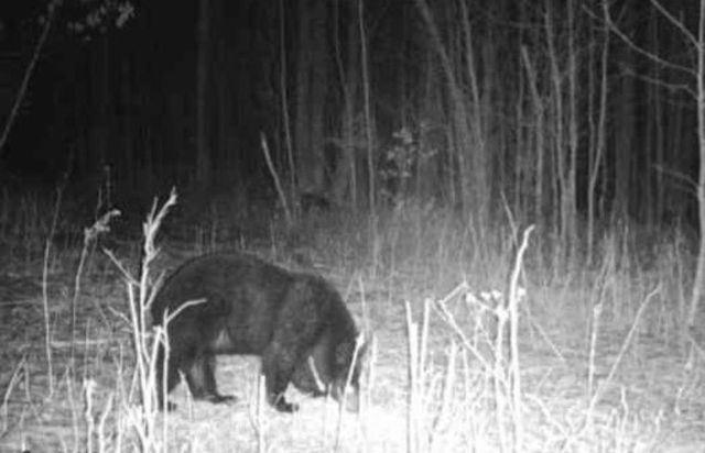 72281 HENNES ROAD, Glidden, WI 54527