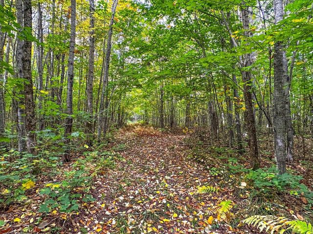 72281 HENNES ROAD, Glidden, WI 54527