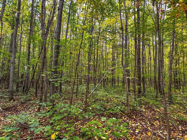 72281 HENNES ROAD, Glidden, WI 54527