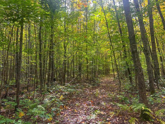 72281 HENNES ROAD, Glidden, WI 54527