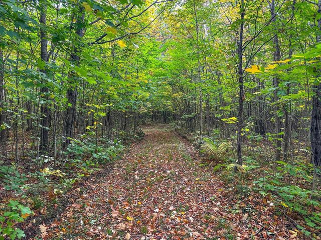 72281 HENNES ROAD, Glidden, WI 54527