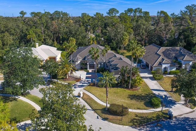 6441 RENWICK CIRCLE, Tampa, FL 33647