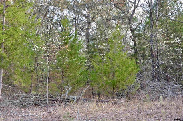 121 Private Road 6238, Mineola, TX 75773