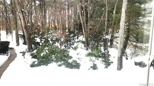 224 H Springmeadow Drive H, Holbrook, NY 11741