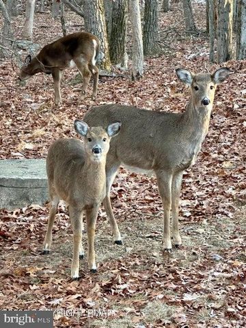 85 SHAWNEE TRL, Albrightsville, PA 18210