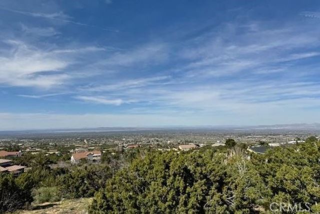 0 Snow Valley rd., Pinon Hills, CA 92372