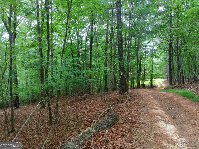 852 Martin Drive, Cleveland, GA 30528