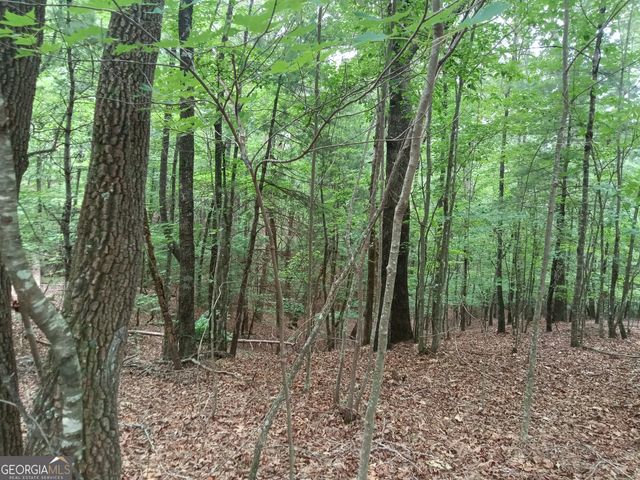 852 Martin Drive, Cleveland, GA 30528