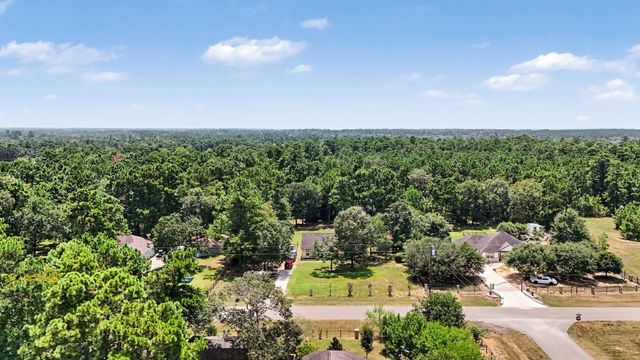 26023 Rolling Forest Lane, Hockley, TX 77447