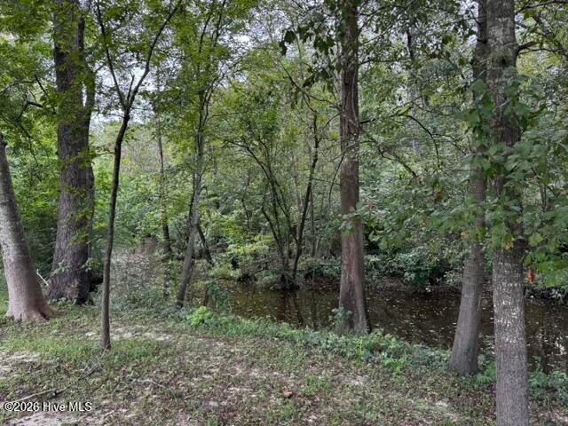 113 Tom Avenue, Castle Hayne, NC 28429