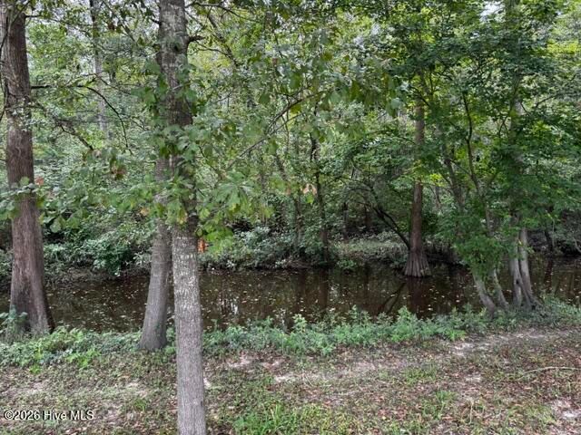 113 Tom Avenue, Castle Hayne, NC 28429