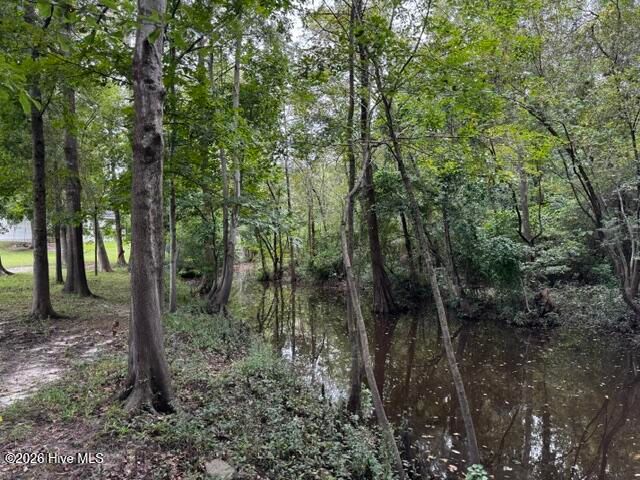 113 Tom Avenue, Castle Hayne, NC 28429