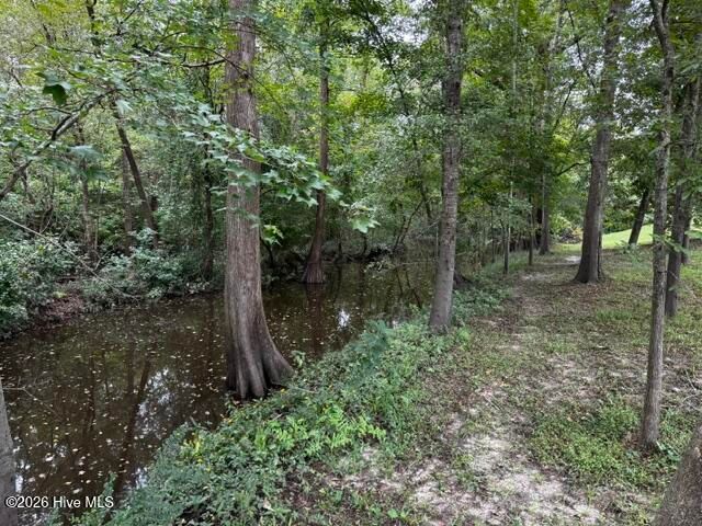 113 Tom Avenue, Castle Hayne, NC 28429