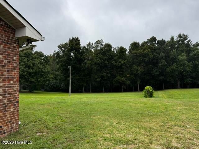 113 Tom Avenue, Castle Hayne, NC 28429